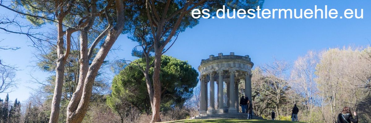 es.duestermuehle.eu